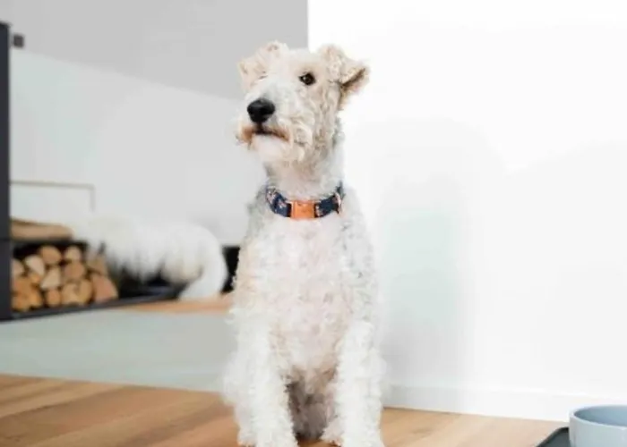 Harlepadd 3a Dom wakacyjny